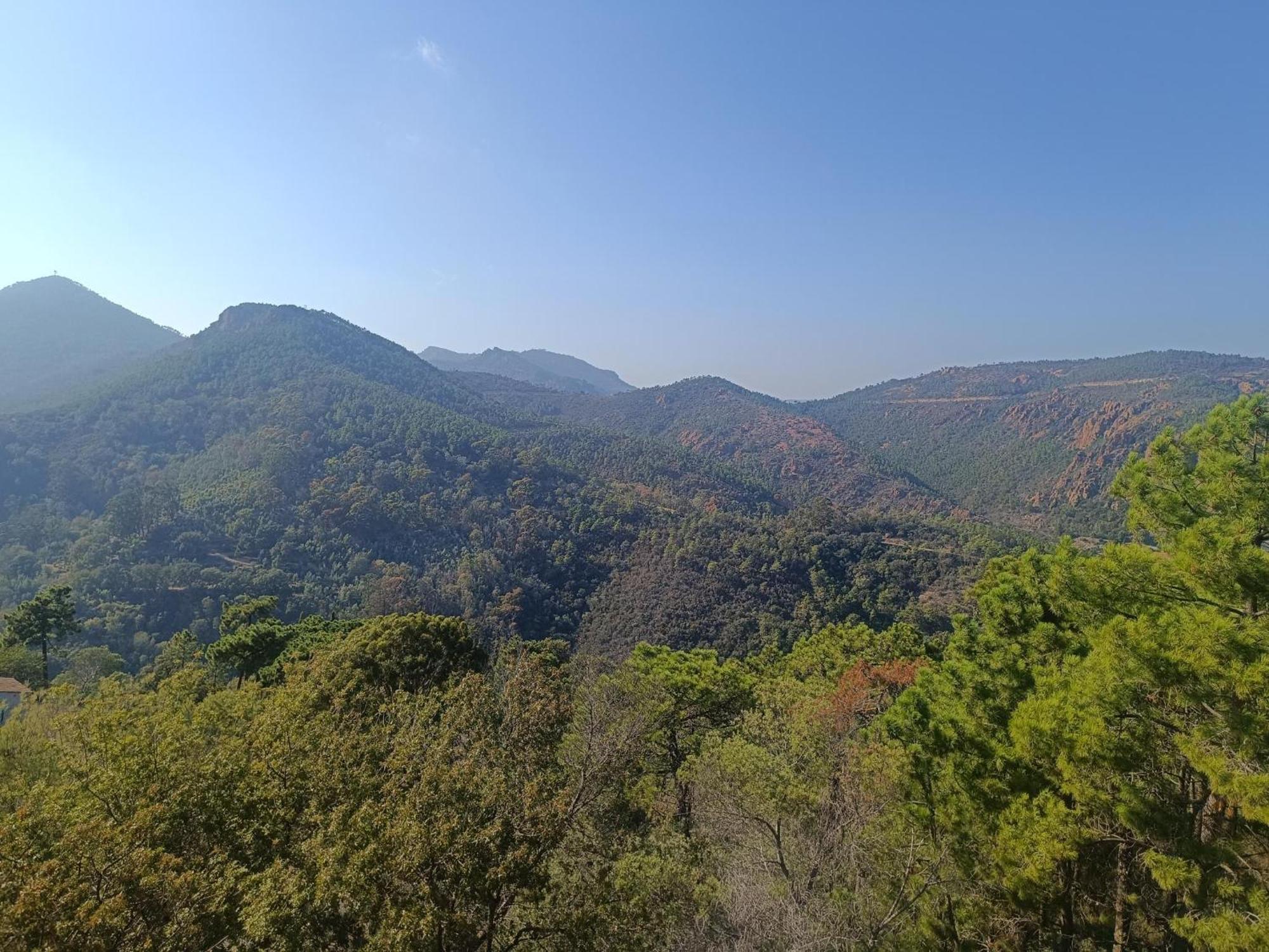 Magnifique Vue Mer Et Piscine - Les Cles De L Esterel Théoule-sur-Mer Exteriör bild