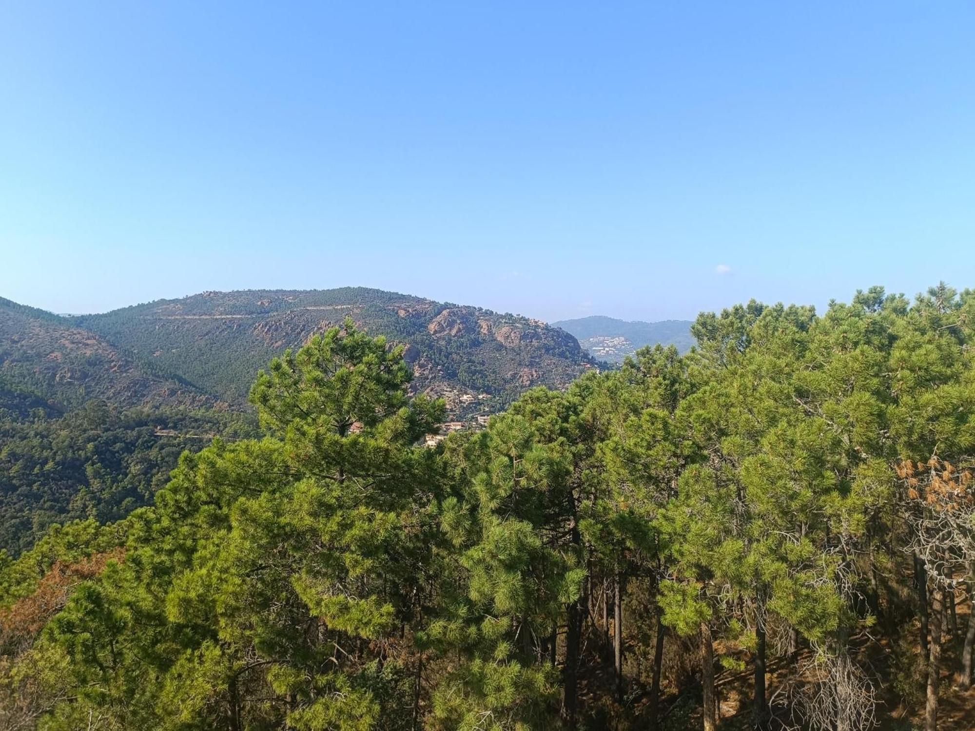 Magnifique Vue Mer Et Piscine - Les Cles De L Esterel Théoule-sur-Mer Exteriör bild